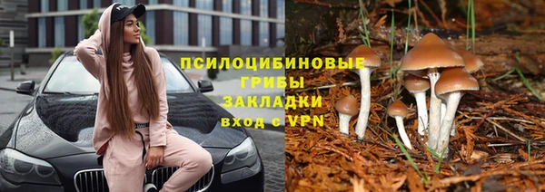 альфа пвп Кинешма